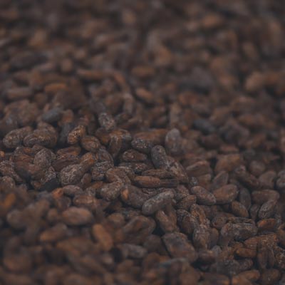 Café & Cacao (Semillas)